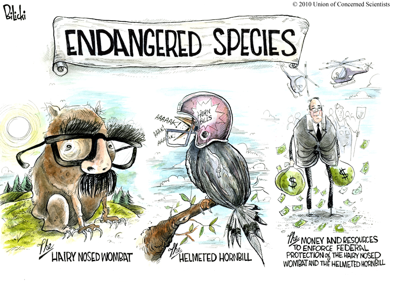 Cartoons - Save Our Species